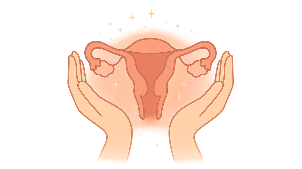 Gebärmutter Illustration